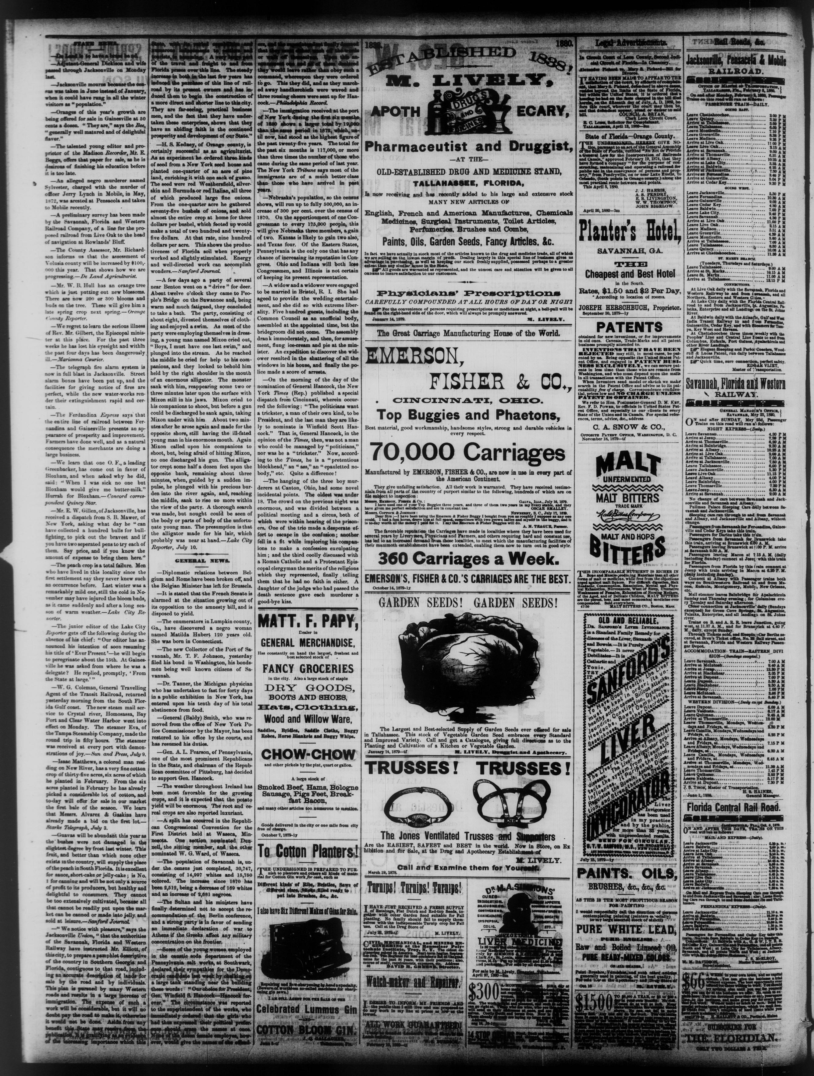 The Weekly Floridian, July 13, 1880