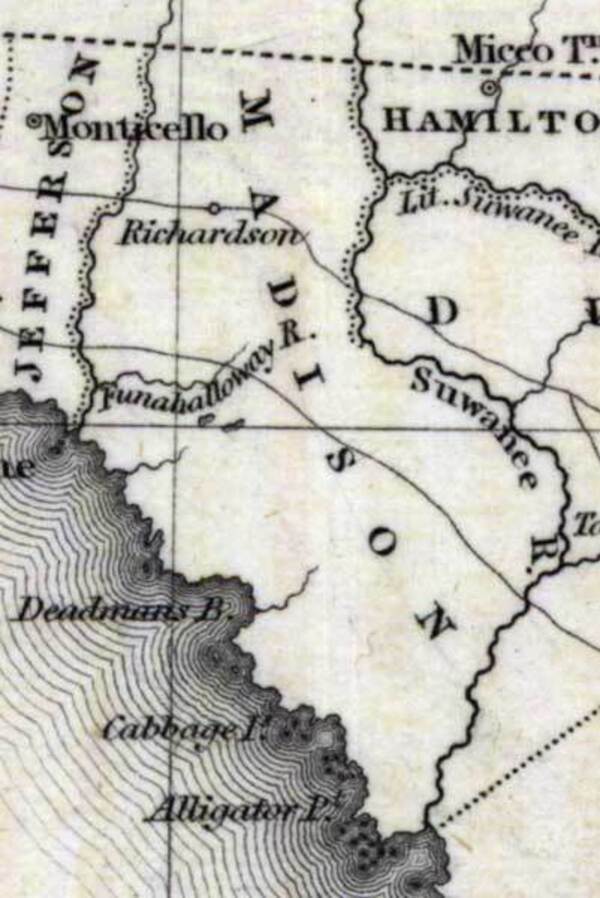 [Madison County, 1832, I.T. Hinton & Simpkin & Marshall Map, Map Credit: Courtesy of the Special Collections Department, University of South Florida. Digitization provided by the USF Libraries Digitization Center. Madison County extended all the way to the Gulf back then, and the lower Suwannee was called “Suwanee R.”]