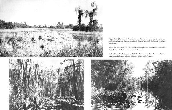 Prairies, houses, boat runs, Minnie's Lake, dark pools