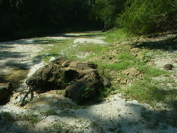 Dry river bed upon approach to isolated pool 2025-09-12 --Ken Sulak
