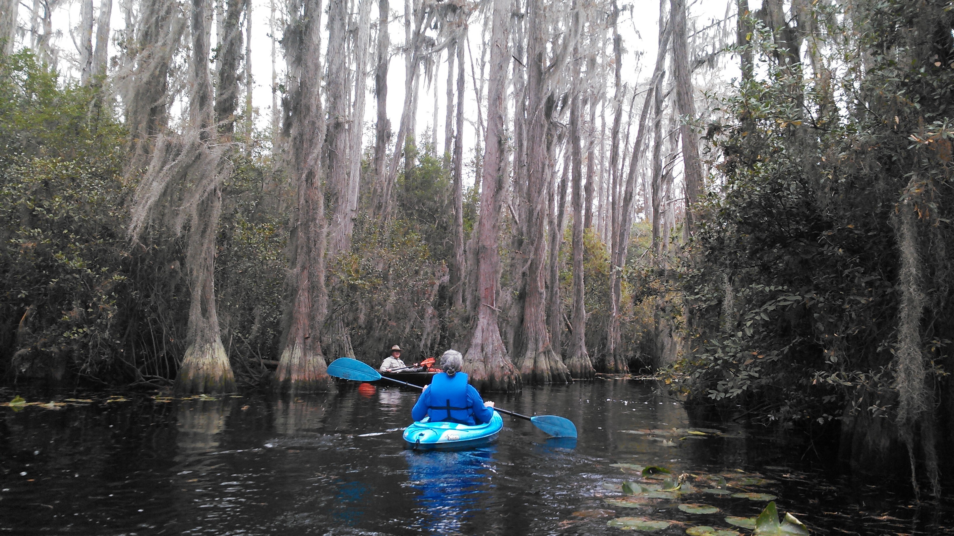 Middle Fork Suwannee River
