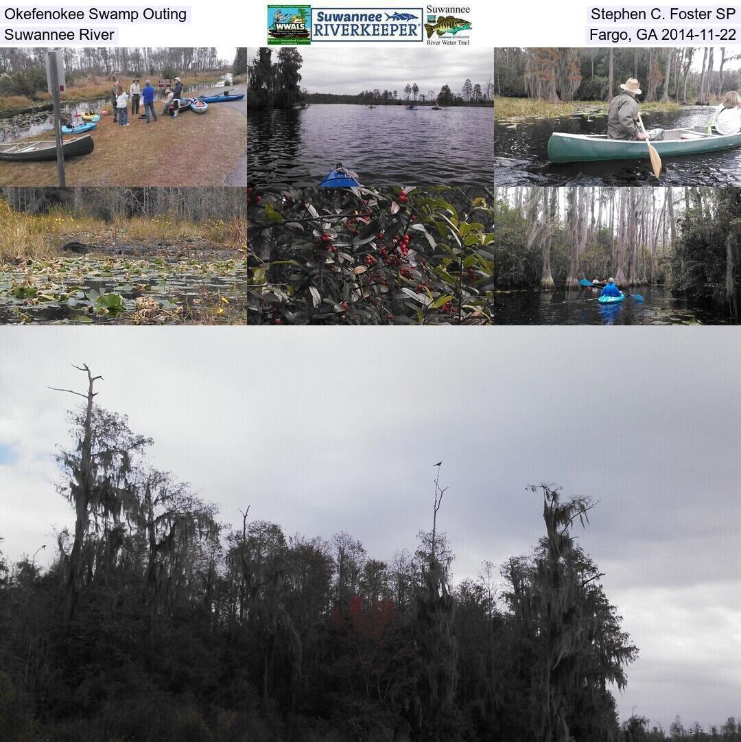 Okefenokee Swamp Outing, Stephen C. Foster SP, Suwannee River, Fargo, GA 2014-11-22