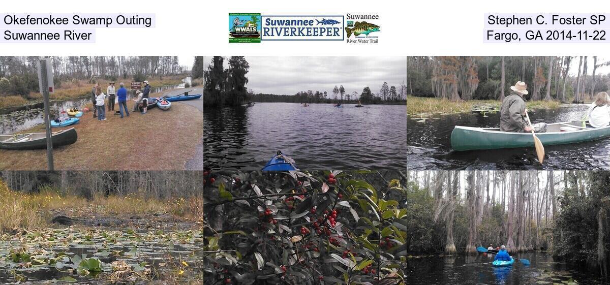 Okefenokee Swamp Outing, Stephen C. Foster SP, Suwannee River, Fargo, GA 2014-11-22