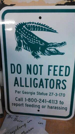 [Do Not Feed Alligators]