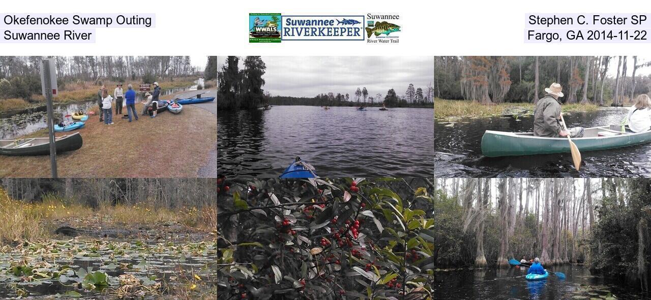 Okefenokee Swamp Outing, Stephen C. Foster SP, Suwannee River, Fargo, GA 2014-11-22