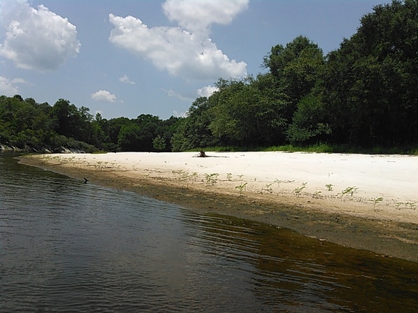 [Nice beach, right bank, --jsq 14:18:46, 30.9753990, -83.0340194]