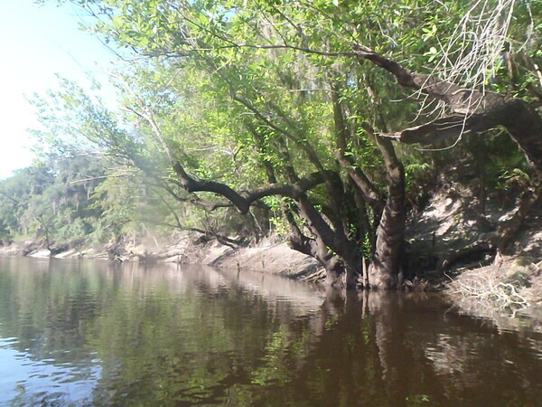 [Gnarly tree --GQ C1, 08:50:12]