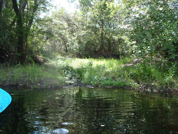 [Left bank near Cherry Creek --GQ C1, 15:14:09]