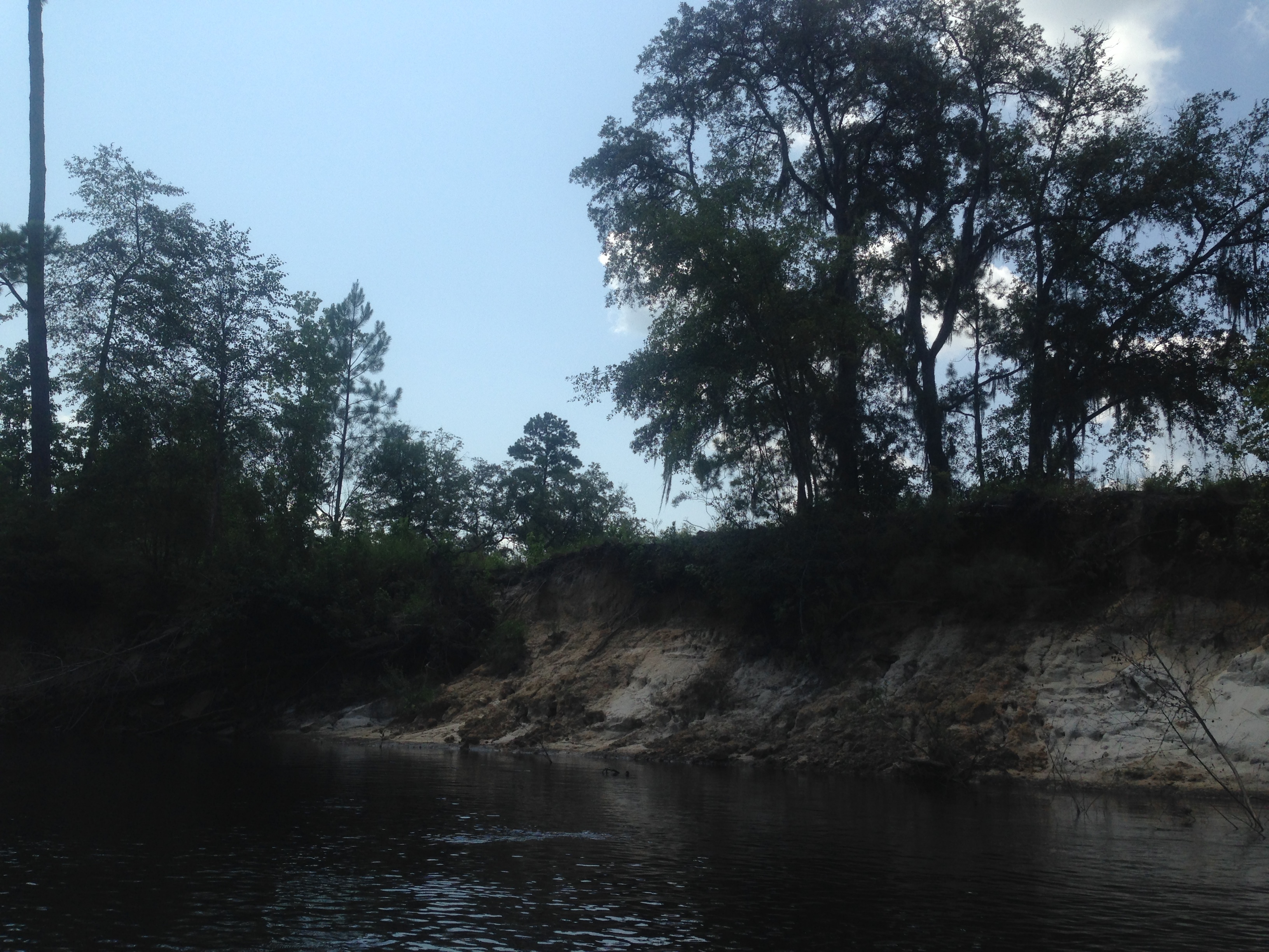 Eroded bluff, --GQ C2, 11:44:06, 31.0097306, -83.0307694