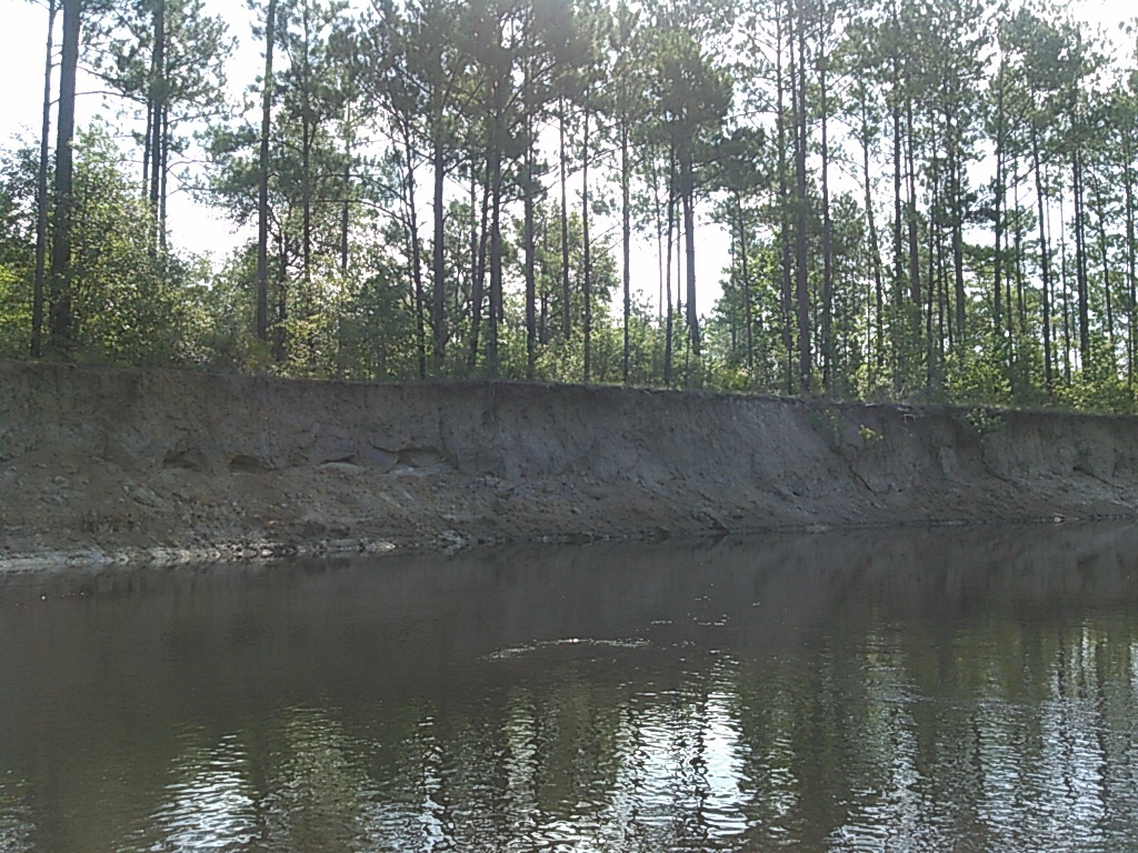 Undercut bank, --jsq 10:28:30, 31.0218258, -83.0336533