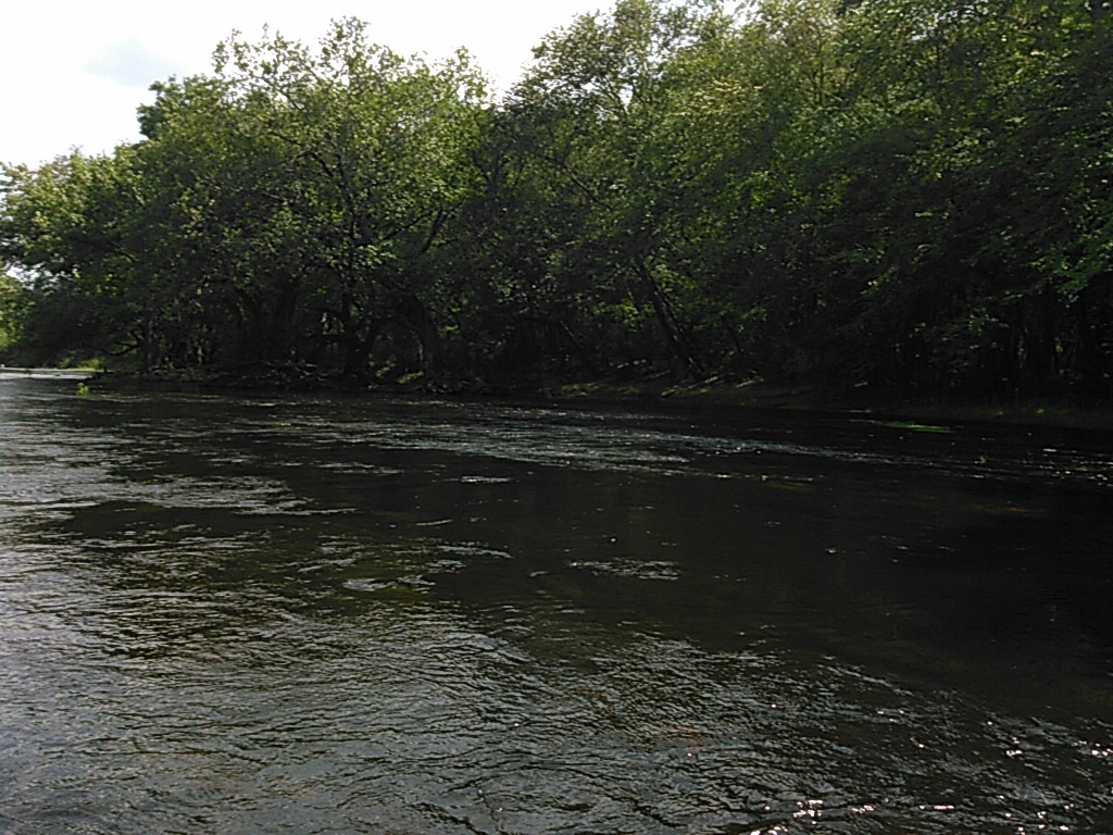 Cherry Creek?, --jsq 16:05:02, 30.9397087, -83.0427322