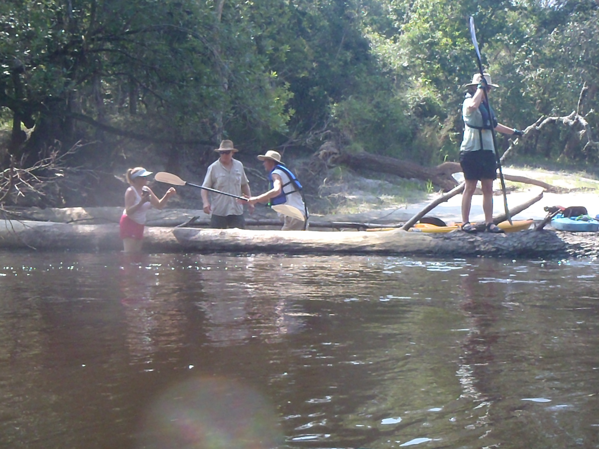 Shirley Kokidko on the log --GQ C1, 10:28:54