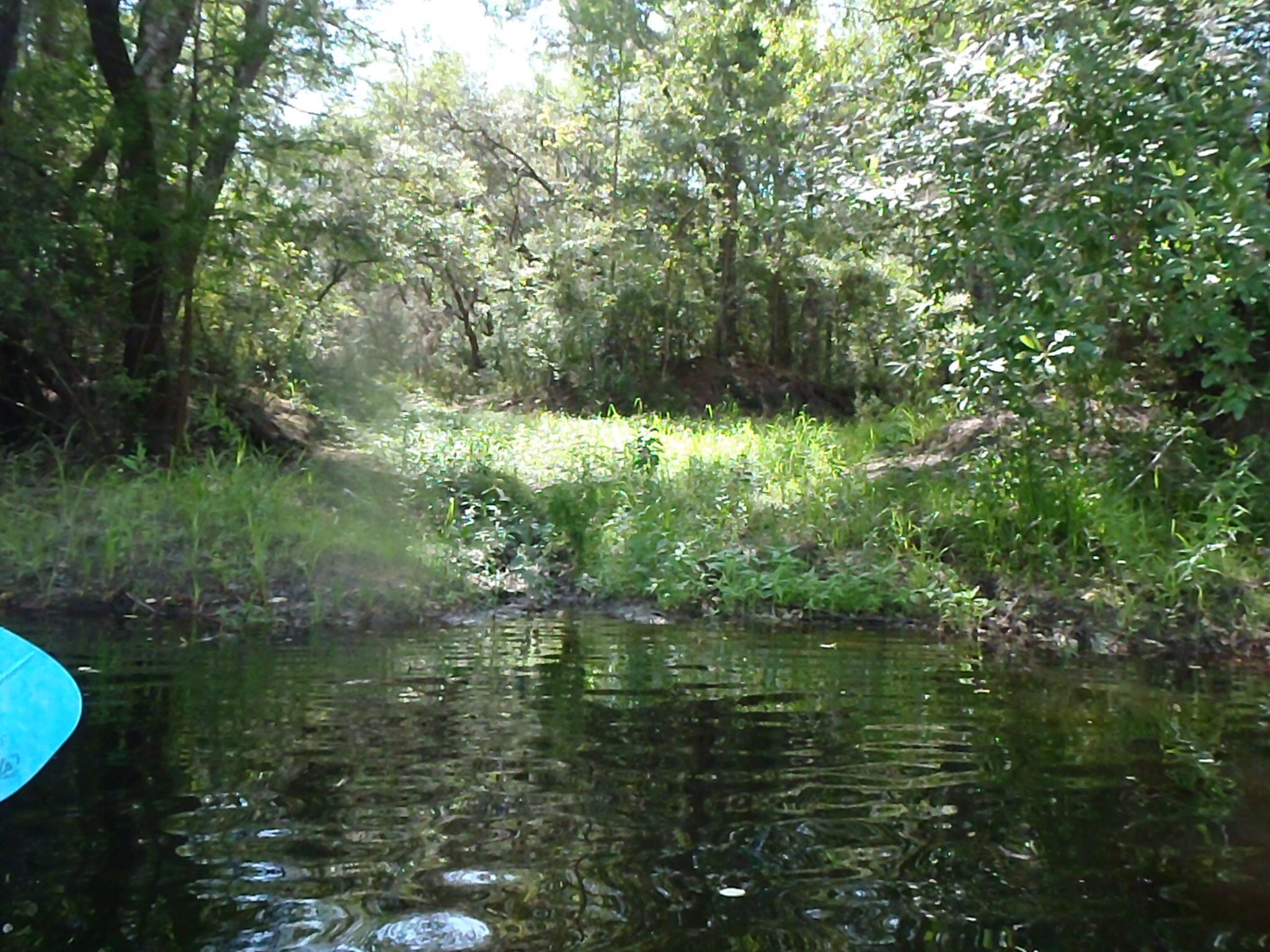 Left bank near Cherry Creek --GQ C1, 15:14:09