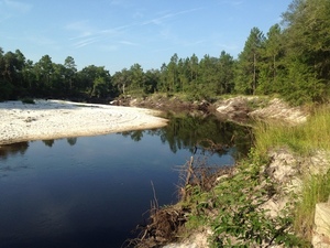 [Beach across from Paffords Landing, --GQ C2 08:48:40, 31.0421083, -83.0446389]