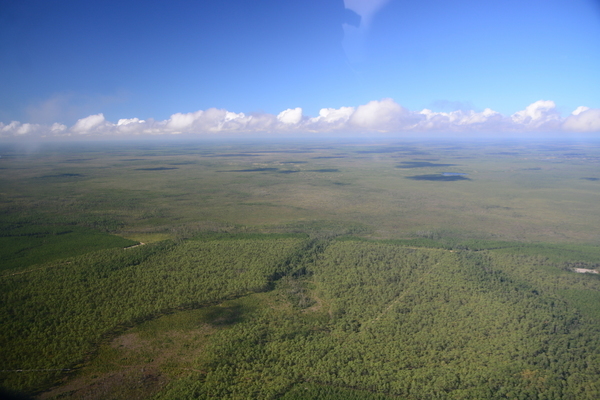 [Coward Lake, Monkey Lake, Number One Island, 2019-10-05, 22:17:27, Photo: Wayne Morgan for Suwannee Riverkeeper on a Southwings flight]