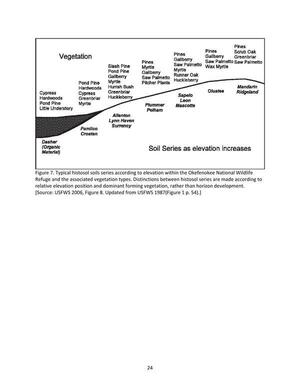 [Figure 7. Typical histosol soils series according to elevation within the Okefenokee National Wildlife Refuge and the associated vegetation types. Distinctions between histosol series are made according to relative elevation position and dominant forming vegetation, rather than horizon development.]