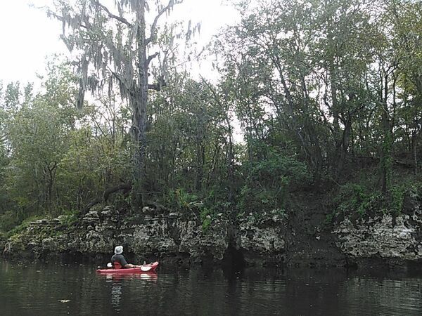 [Dan and the rock tree 30.5336761, -83.2483062]