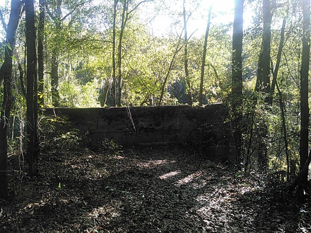 Remains of Belleville Bridge, Madison County side 30.5957298, -83.2596435