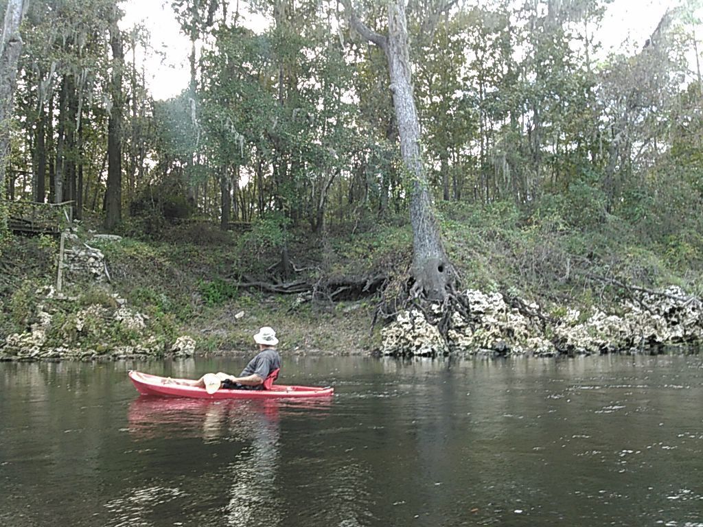 Karst tree 30.4899406, -83.2438965