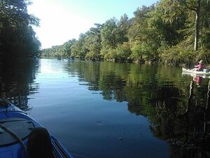 [Down the Withlacoochee River 30.5956001, -83.2593307]