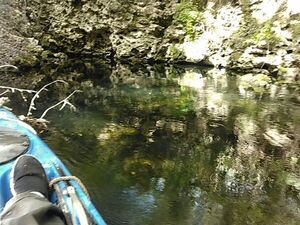 [Hardee Spring cavern goes through to a karst window, 30.544662, -83.250057]