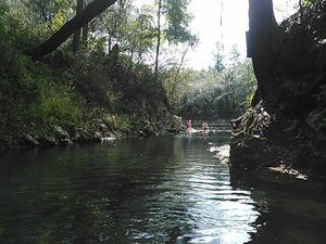 [KIMG2754 Looking out from Hardee Spring 30.5444069, -83.2500076]