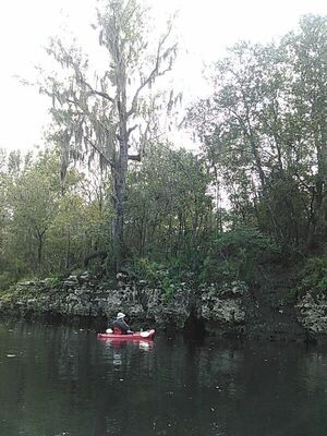 [Dan and the portrait rock tree 30.5337314, -83.2483062]