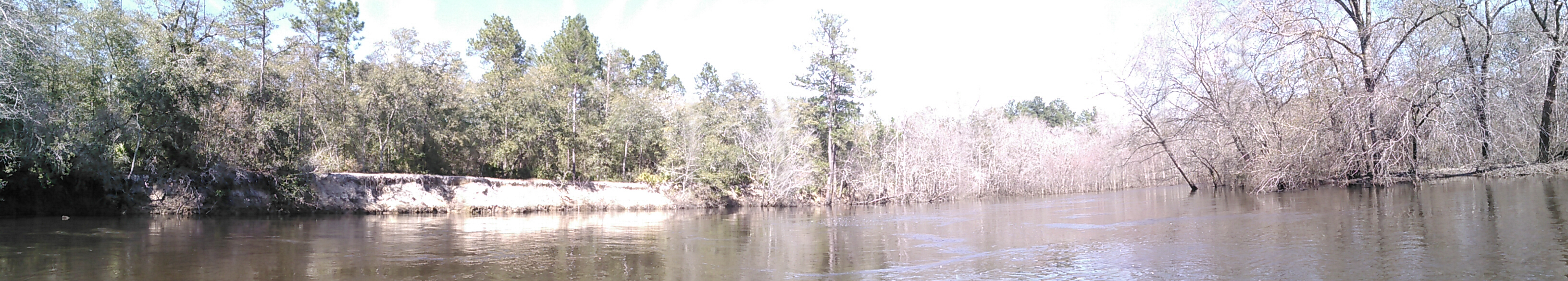 Panorama, Bluff, off Cross Creek Road 31.1749382, -83.0457916