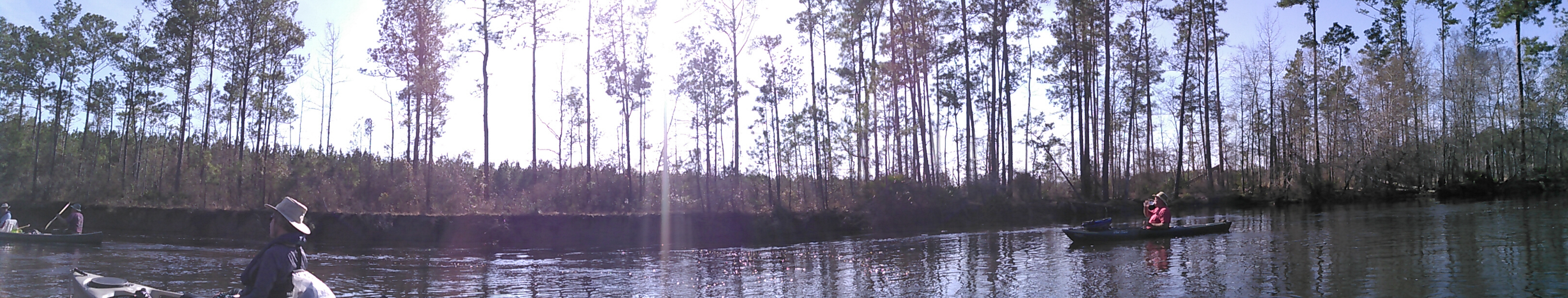 Panorama of bluff 31.1707840, -83.0449142