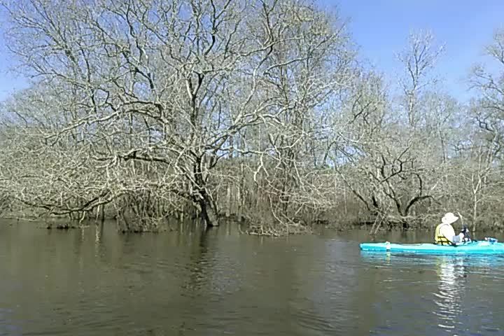 Movie: Bret Wagenhorst paddling 31.2528782, -83.0416717 (1.7M)