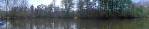 [Panorama, Unnamed Road, off Cross Creek Road 31.1749382, -83.0457916]