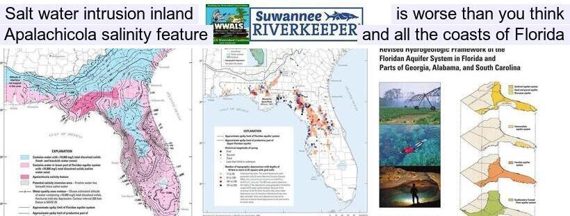 Salt water intrusion inland is worse than you think, Apalachicola salinity feature, and all the coasts of Florida