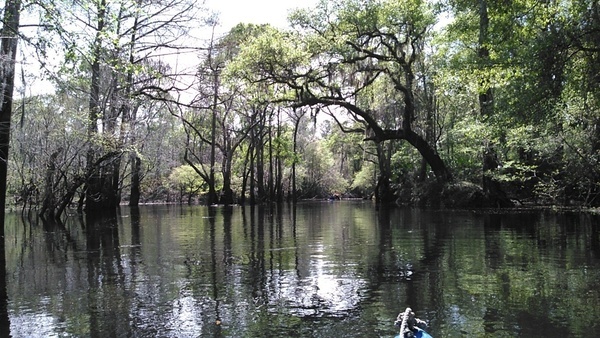 Gretchen paddling by 30.9049759, -83.3110275