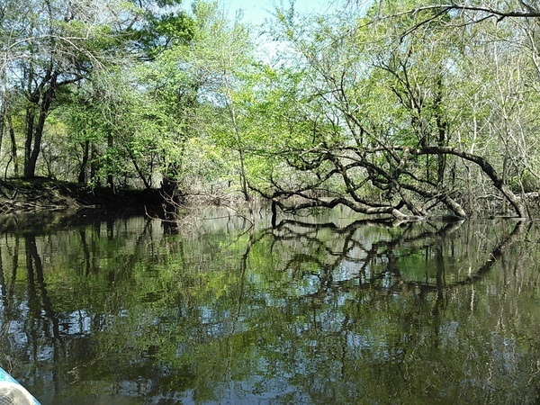 [Withlacoochee River slough 30.9016113, -83.3117218]