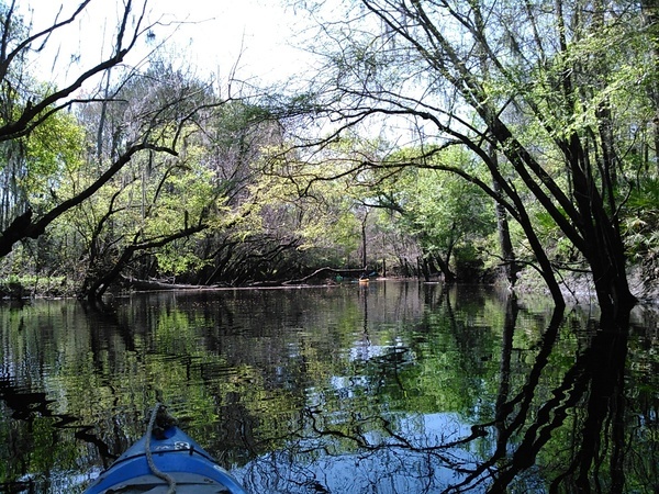 Betty boat beneath the trees, 30.9021549, -83.3122177