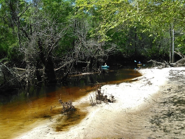 [Gretchen and Betty coming around the last log jam 30.8875732, -83.3239441]