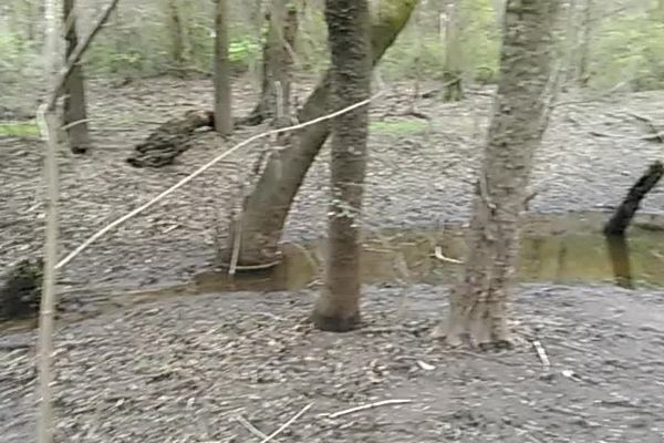 [Movie: Under the Staten Road Bridge (1.9M)]