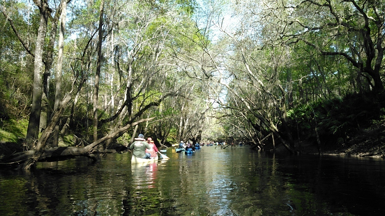 The very picture of a lazy river 30.9274845, -83.2946930