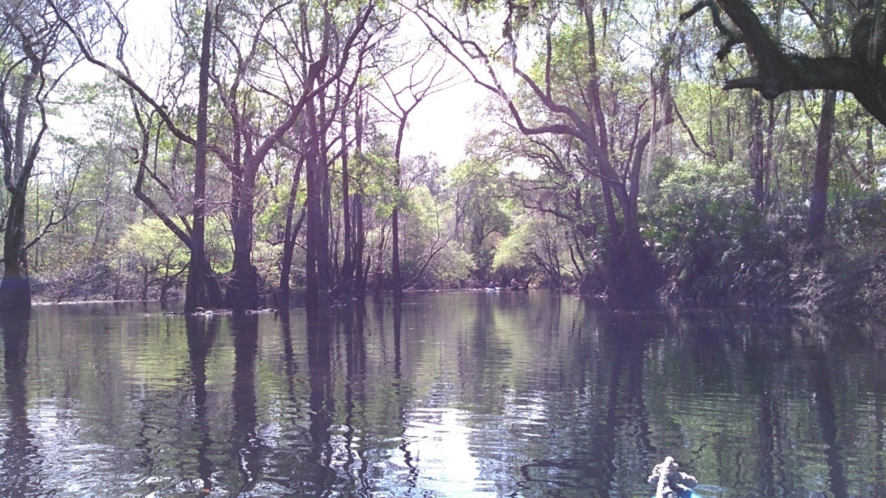 Withlacoochee River 30.9048519, -83.3111114