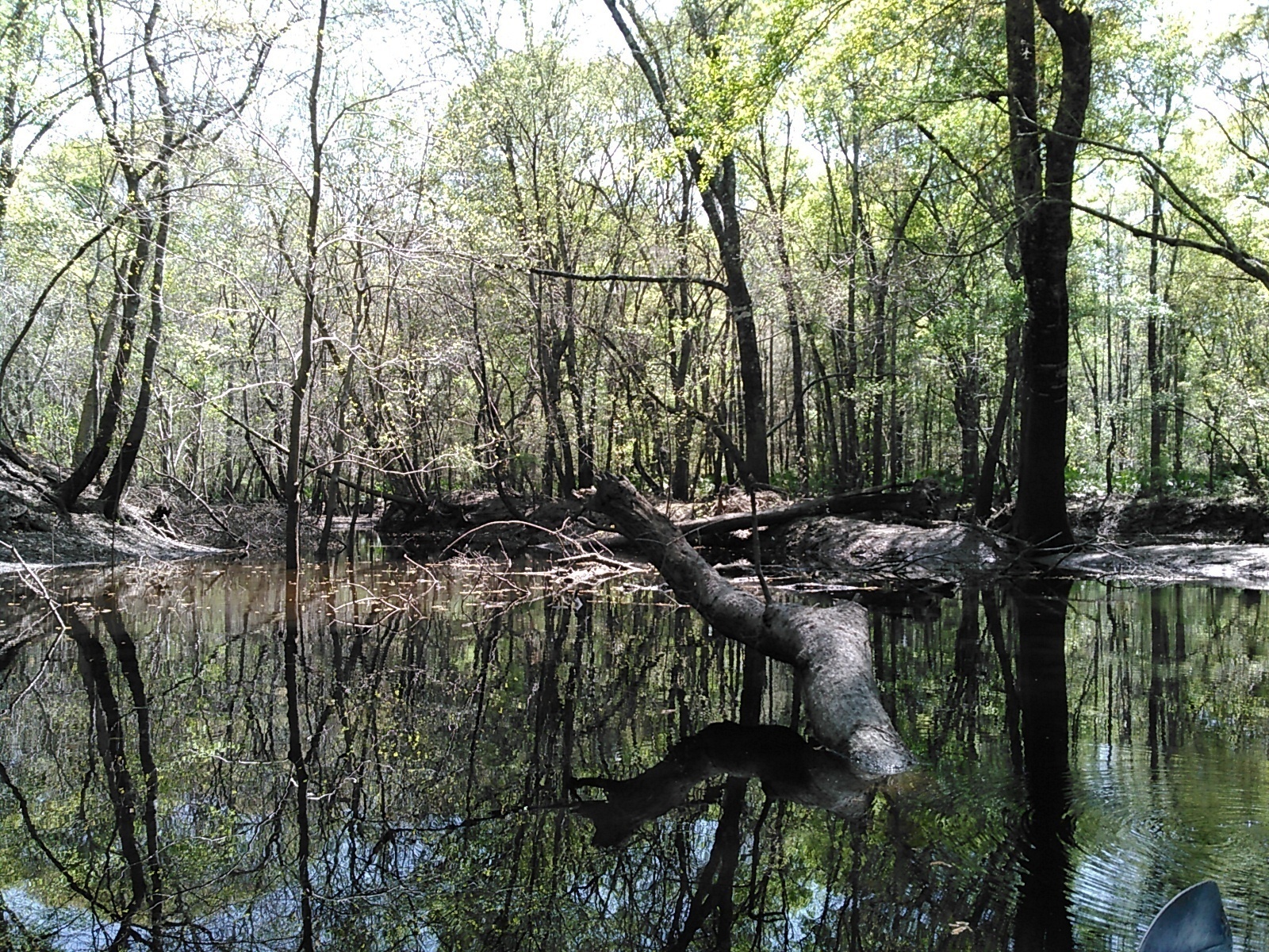 Looks like you could paddle quite a ways up Stillhouse Branch