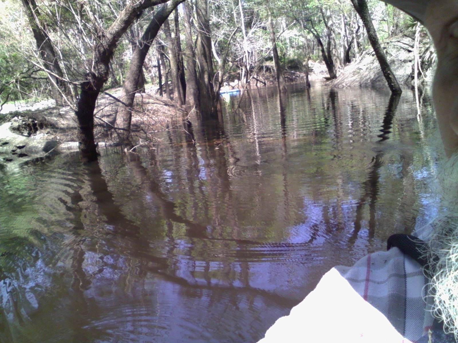 Gretchen on the river, seen from Stilhouse Branch 30.8955650, -83.3147964