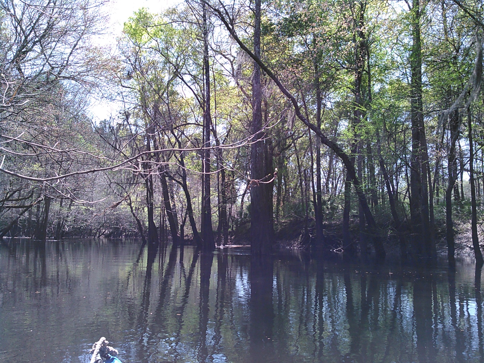 Back to the Withlacoochee River, 30.8938427, -83.3188171