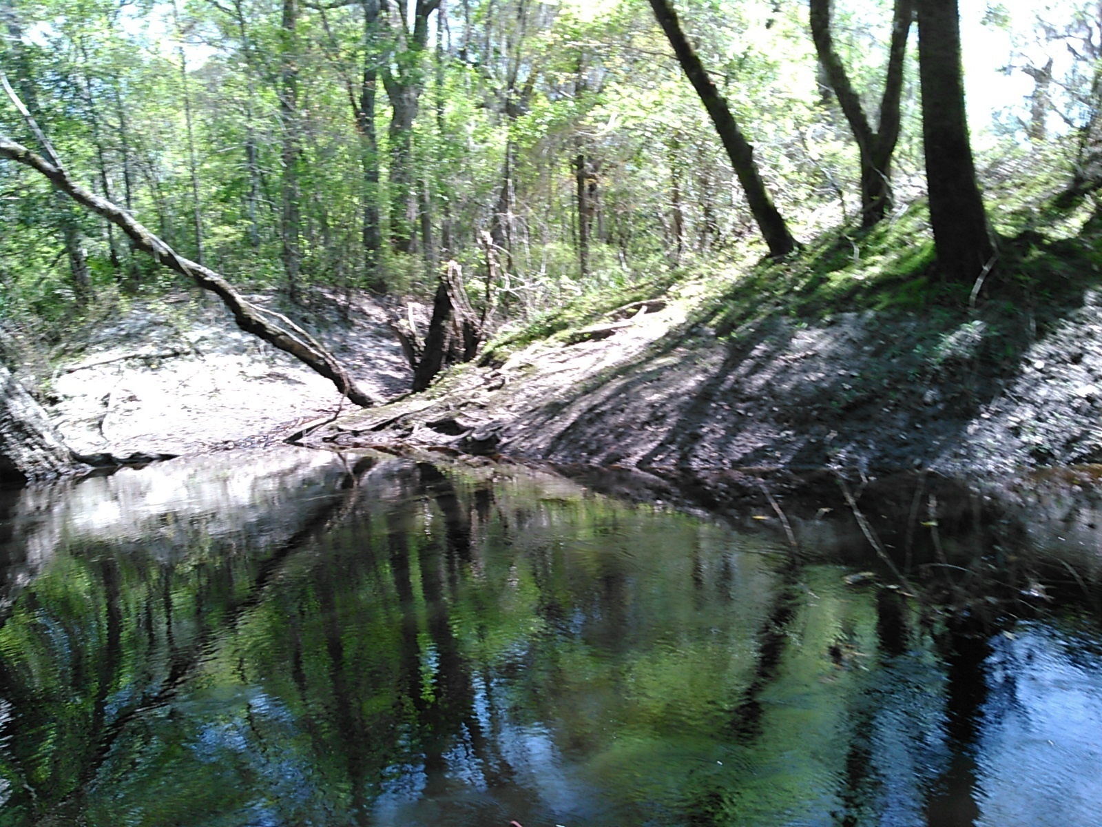 The little creek where we put in on a previous trip, 30.8883553, -83.3228226