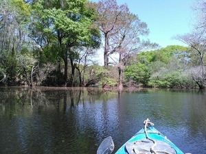 [Broad and smooth slough 30.9022999, -83.3118362]