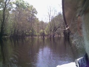 [Gretchen and Betty crossing behind me on the river 30.9023323, -83.3118133]