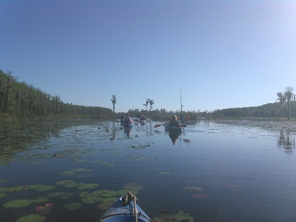 [On the pond]