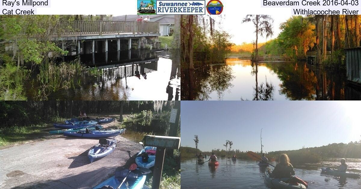 Ray's Millpond, Beaverdam Creek 2016-04-03, Cat Creek, Withlacoochee River