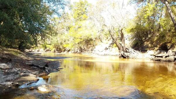 Movie: Alapaha River (2.0M), 30.5855934, -83.0528291