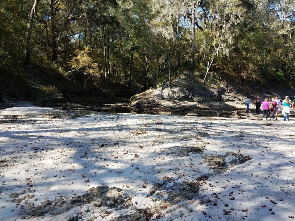 Dead River confluence, 30.5840777, -83.0503014