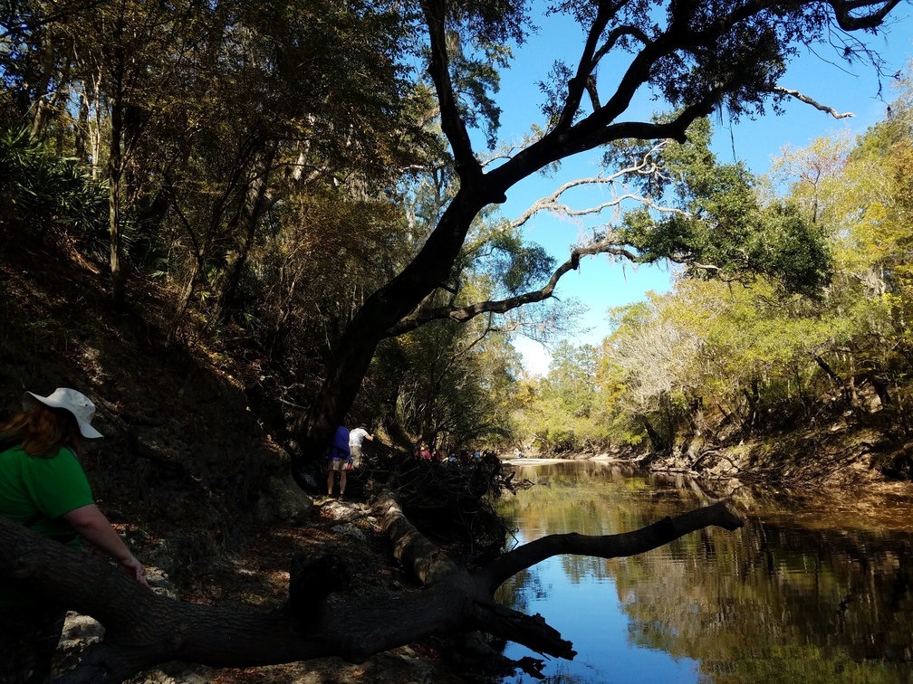 Some water in the river, 30.5841235, -83.0515053